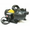 Varan Motors - TP03253 Pompe De Jardin Pompe D'arrosage En Acier Inoxydable 800W - 3200l/h - Noir -VARAN MOTORS Soldes Magasin 1678168 1